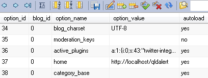 image of the options table showing the home option